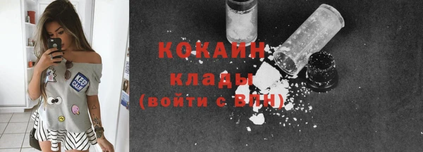 гашик Няндома