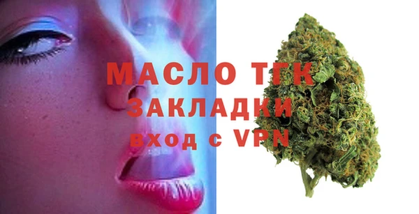 гашик Няндома