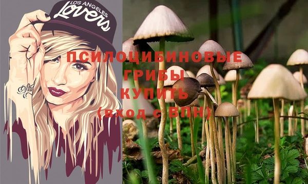 гашик Няндома