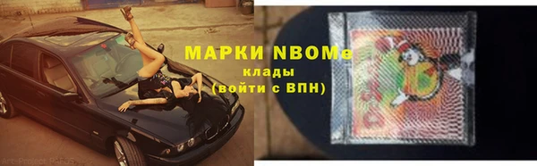 стаф Пересвет