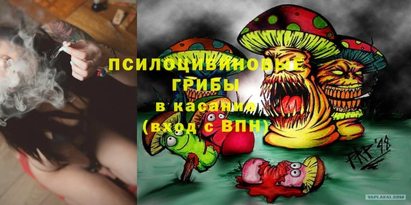 MESCALINE Новозыбков