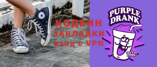 гашик Няндома
