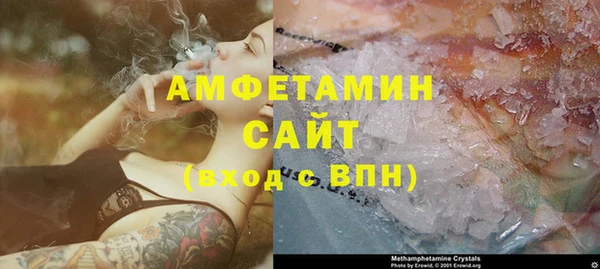 гашик Няндома