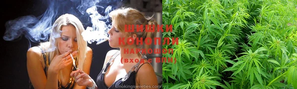 MESCALINE Новозыбков