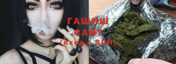 гашик Няндома