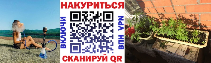 дарнет шоп  Покачи  shop телеграм  Бошки марихуана конопля 